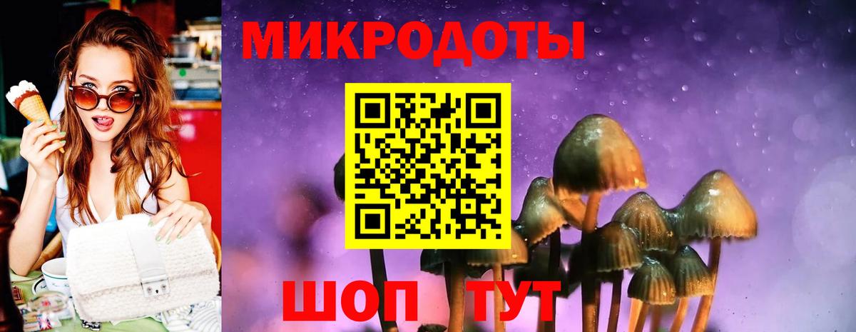 Галлюциногенные грибы Psilocybe Пугачёв
